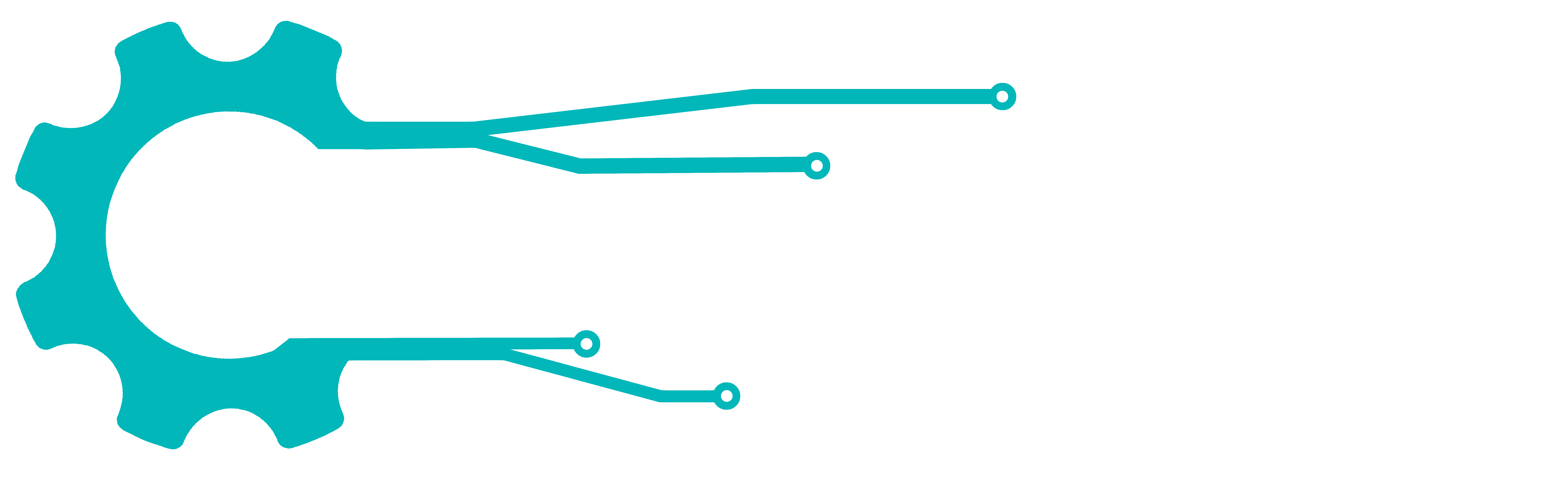 computerden consulting